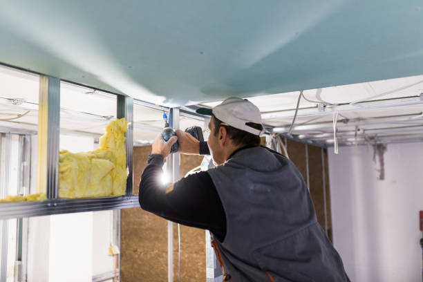 Best Specialty Insulation in Cotter, AR