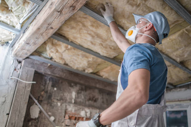 Best Insulation Installation Services in Cotter, AR