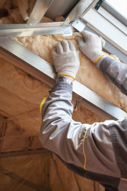 Best Residential Insulation in Cotter, AR