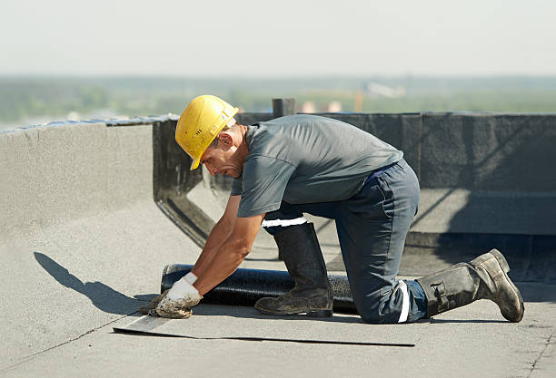 Best Insulation Maintenance and Repair in Cotter, AR